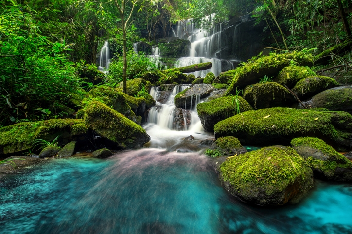 Türkis Duschrückwand Ecklösung Alu Duschwand Duschkabine Wald Wasserfall 